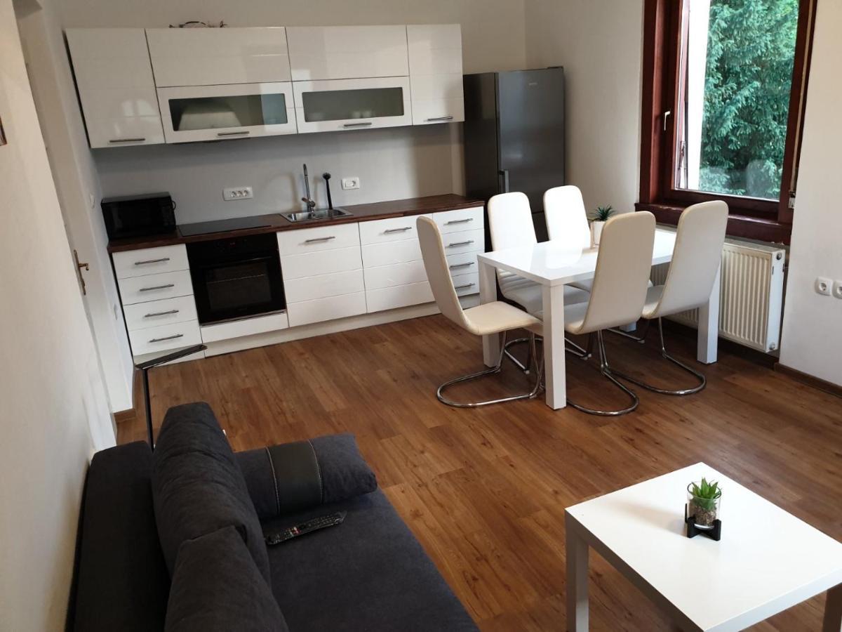 Huge Bbq Garden 2, Spacious Flat, Ac, Free Parking 2 Ljubljana Extérieur photo