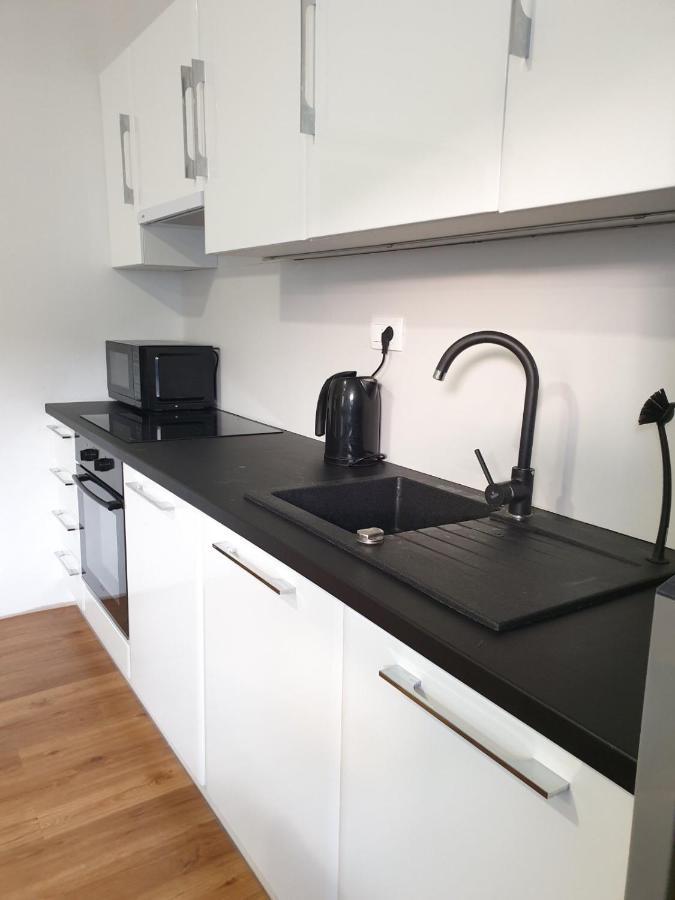 Huge Bbq Garden 2, Spacious Flat, Ac, Free Parking 2 Ljubljana Extérieur photo
