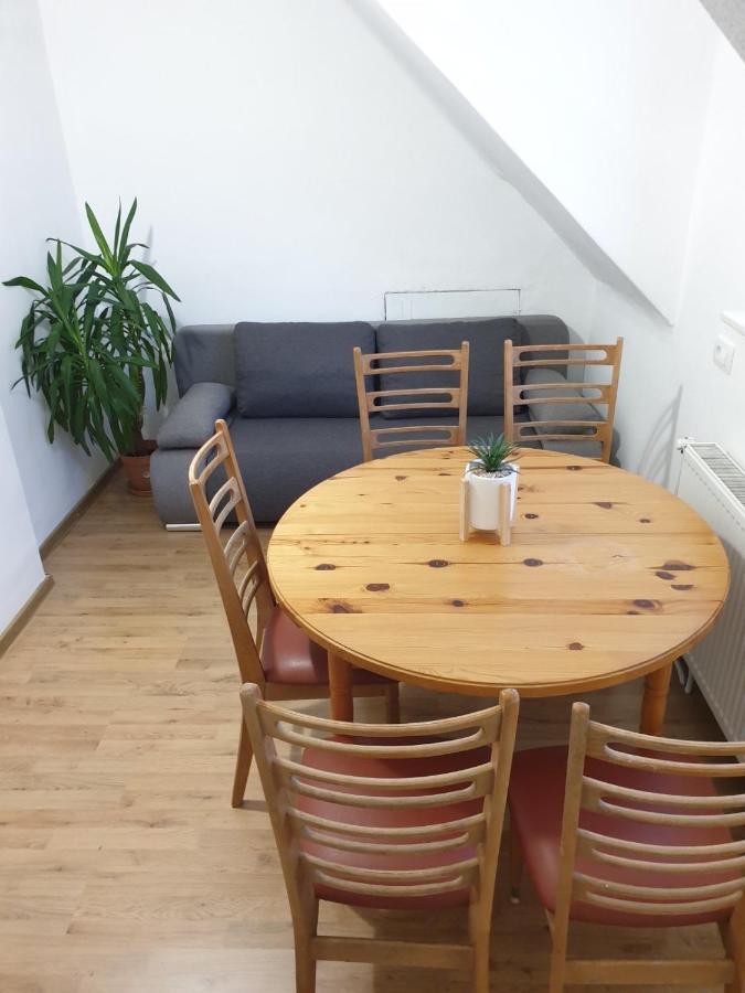 Huge Bbq Garden 2, Spacious Flat, Ac, Free Parking 2 Ljubljana Extérieur photo