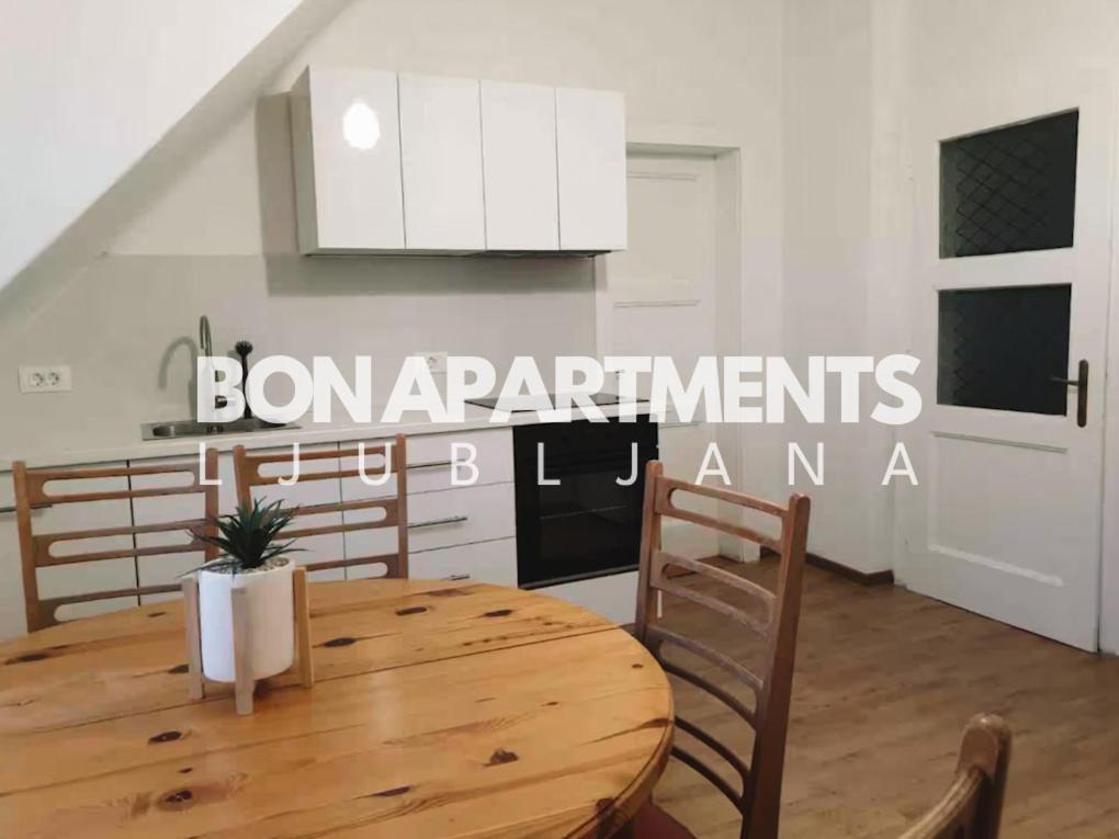 Huge Bbq Garden 2, Spacious Flat, Ac, Free Parking 2 Ljubljana Extérieur photo