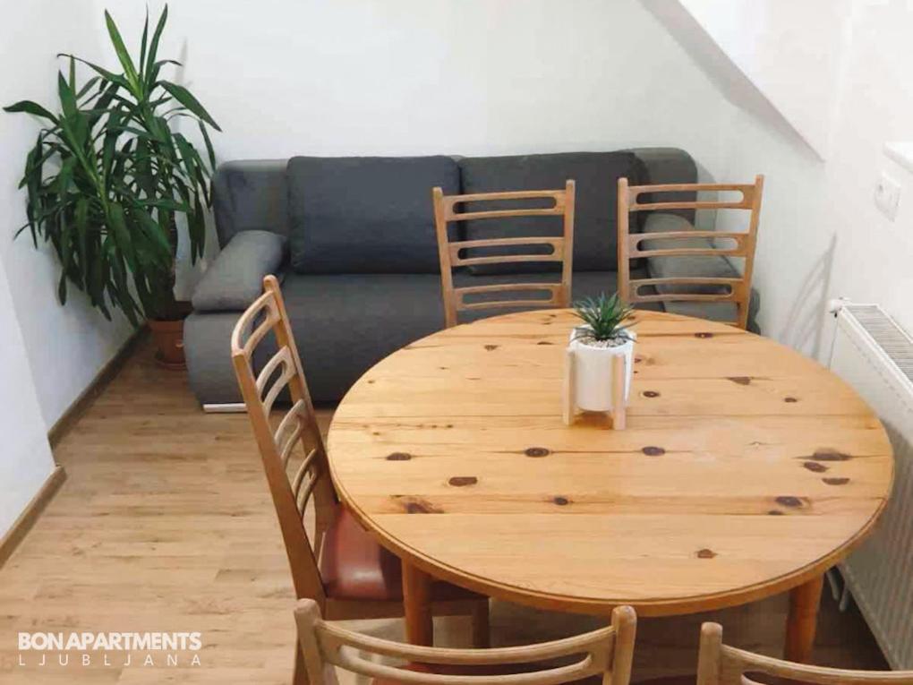 Huge Bbq Garden 2, Spacious Flat, Ac, Free Parking 2 Ljubljana Extérieur photo